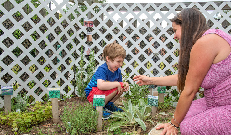 A sensory garden at UNCG: where research enhances child’s play