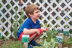Child looking at herb garden